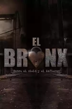 Jaquette du film Le Bronx