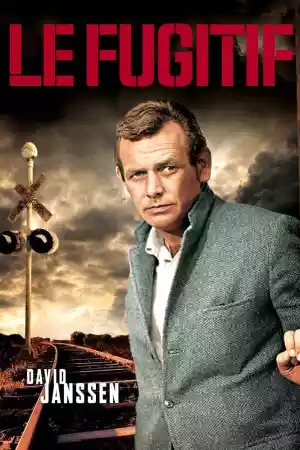 Jaquette du film Le Fugitif