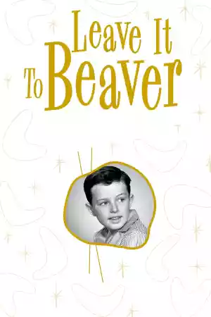 Jaquette du film Leave It to Beaver