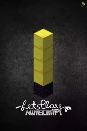 Jaquette du film Let's Play Minecraft