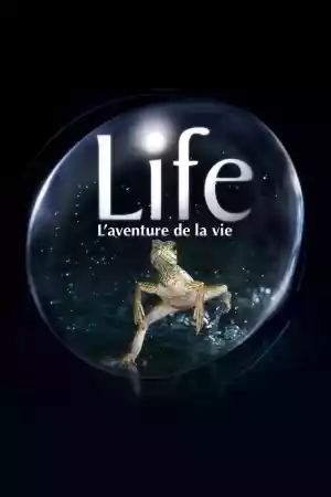 Jaquette du film Life, l'aventure de la vie