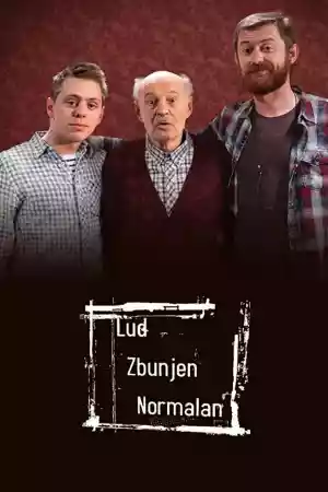 Jaquette du film Lud, zbunjen, normalan