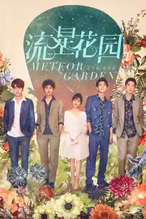 Jaquette du film Meteor Garden