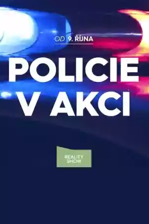 Jaquette du film Policie v akci