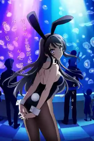 Jaquette du film Rascal Does Not Dream of Bunny Girl Senpai