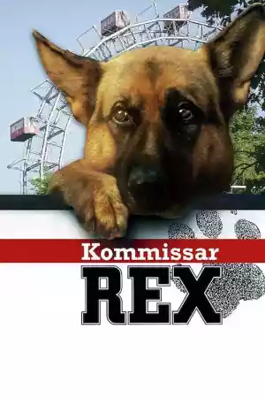 Jaquette du film Rex, Chien flic