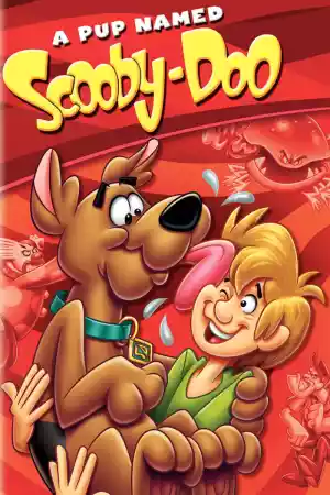 Jaquette du film Scooby-Doo: A Pup Named Scooby-Doo