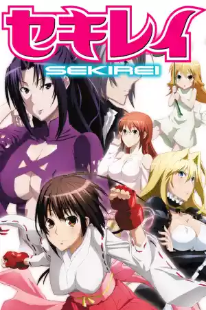 Jaquette du film Sekirei