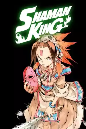 Jaquette du film Shaman King