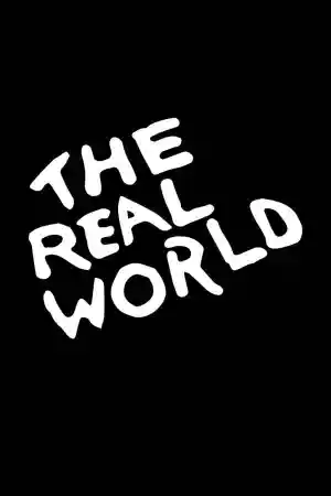 Jaquette du film The Real World