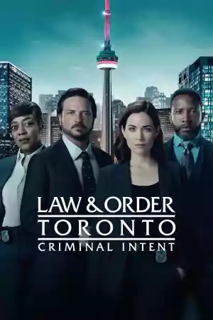 Jaquette du film Toronto, section criminelle