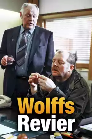 Jaquette du film Wolffs Revier